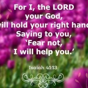 Meet your Posher, T lynn